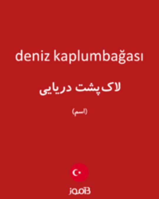  تصویر deniz kaplumbağası - دیکشنری انگلیسی بیاموز