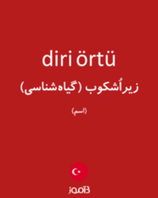  تصویر diri örtü - دیکشنری انگلیسی بیاموز