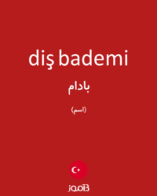  تصویر diş bademi - دیکشنری انگلیسی بیاموز