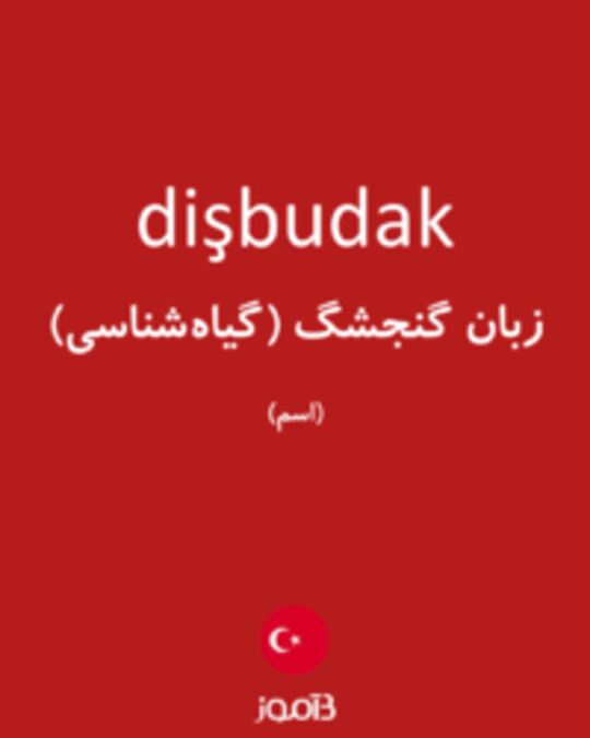  تصویر dişbudak - دیکشنری انگلیسی بیاموز