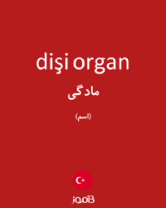  تصویر dişi organ - دیکشنری انگلیسی بیاموز