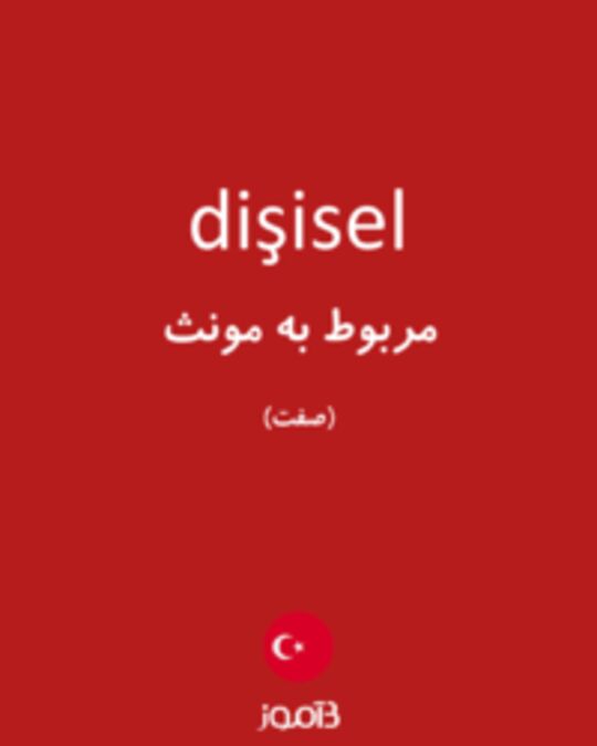  تصویر dişisel - دیکشنری انگلیسی بیاموز