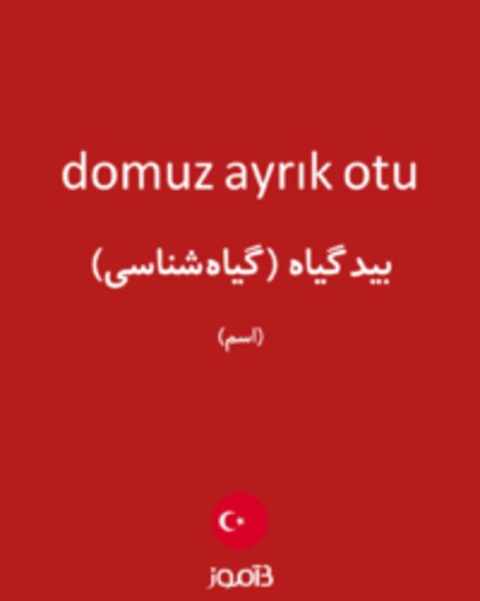  تصویر domuz ayrık otu - دیکشنری انگلیسی بیاموز