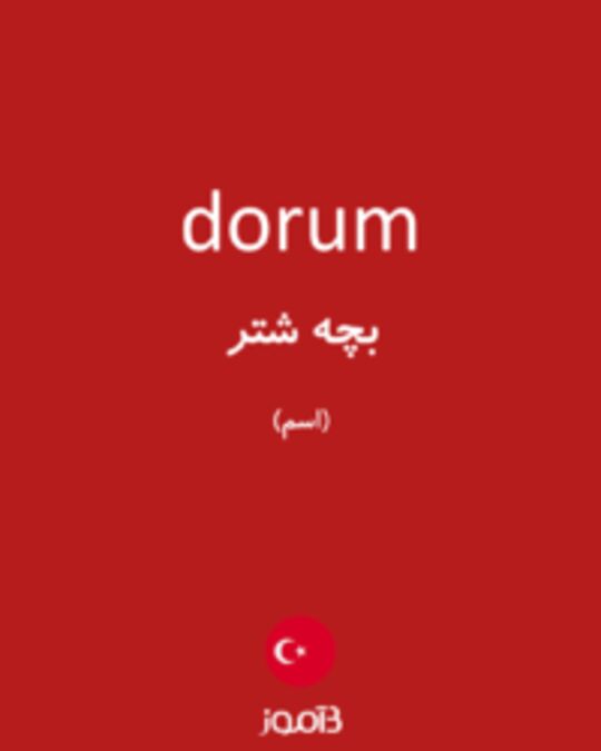  تصویر dorum - دیکشنری انگلیسی بیاموز