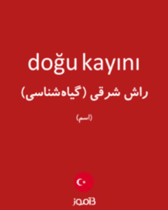  تصویر doğu kayını - دیکشنری انگلیسی بیاموز