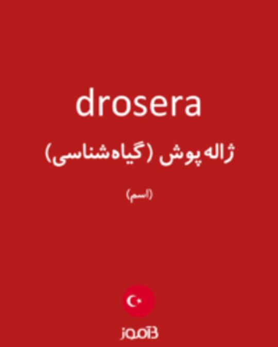  تصویر drosera - دیکشنری انگلیسی بیاموز