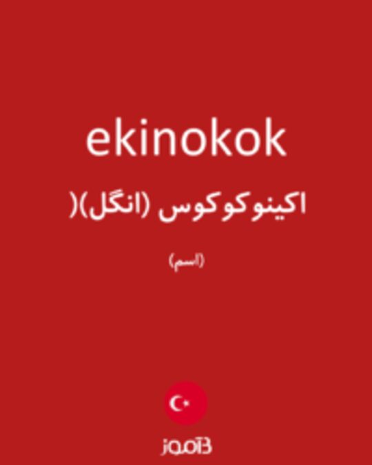  تصویر ekinokok - دیکشنری انگلیسی بیاموز