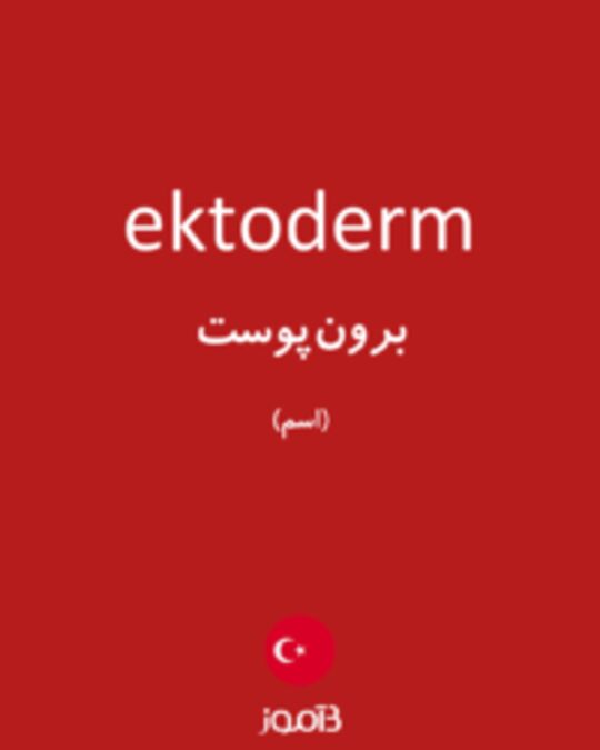  تصویر ektoderm - دیکشنری انگلیسی بیاموز