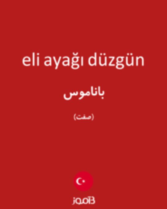  تصویر eli ayağı düzgün - دیکشنری انگلیسی بیاموز