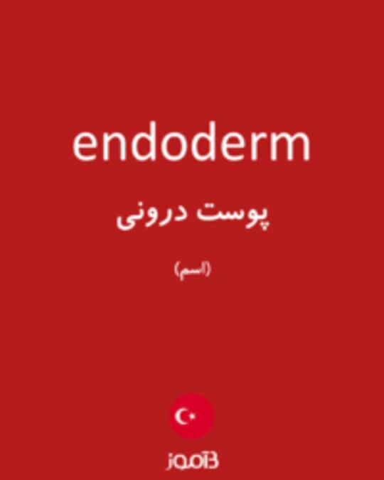  تصویر endoderm - دیکشنری انگلیسی بیاموز