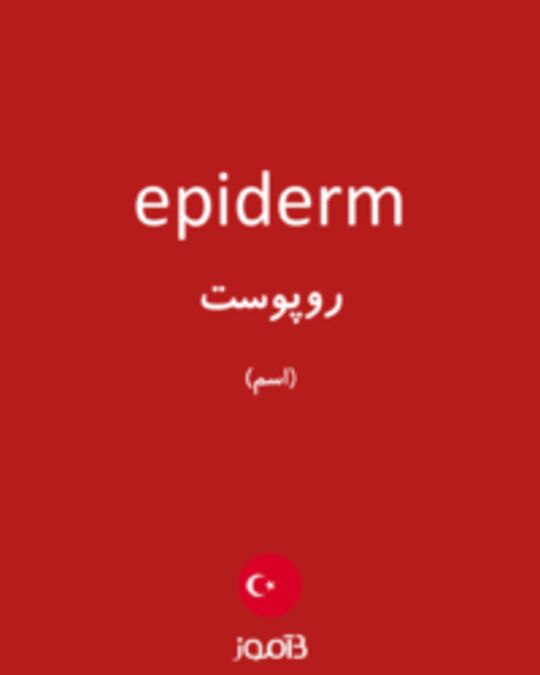  تصویر epiderm - دیکشنری انگلیسی بیاموز