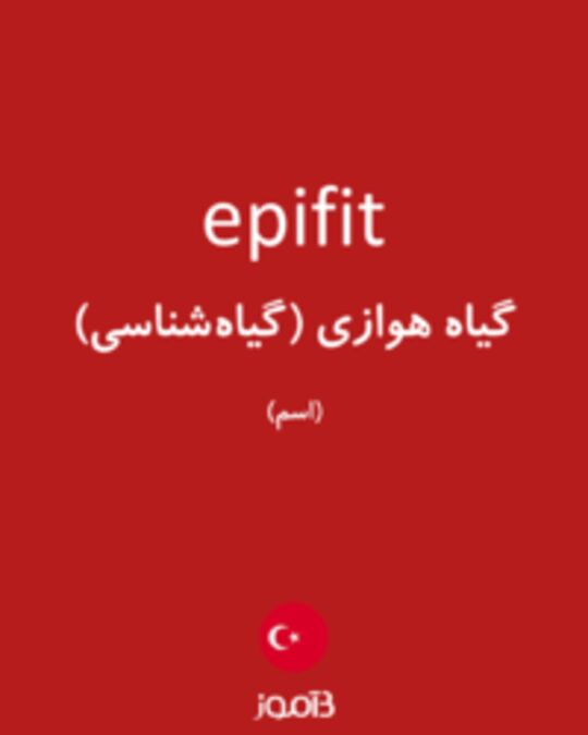  تصویر epifit - دیکشنری انگلیسی بیاموز