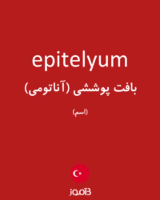  تصویر epitelyum - دیکشنری انگلیسی بیاموز