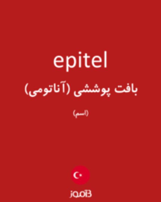  تصویر epitel - دیکشنری انگلیسی بیاموز