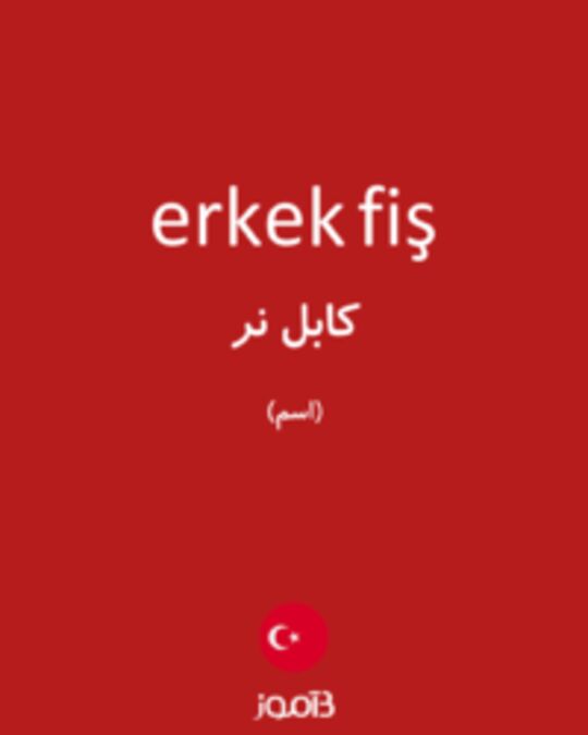  تصویر erkek fiş - دیکشنری انگلیسی بیاموز