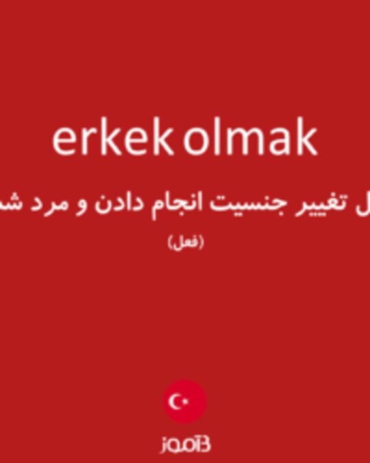  تصویر erkek olmak - دیکشنری انگلیسی بیاموز