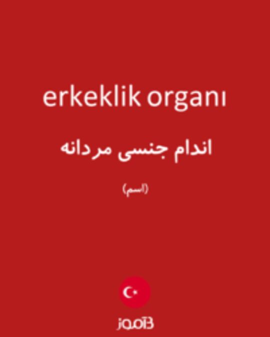  تصویر erkeklik organı - دیکشنری انگلیسی بیاموز