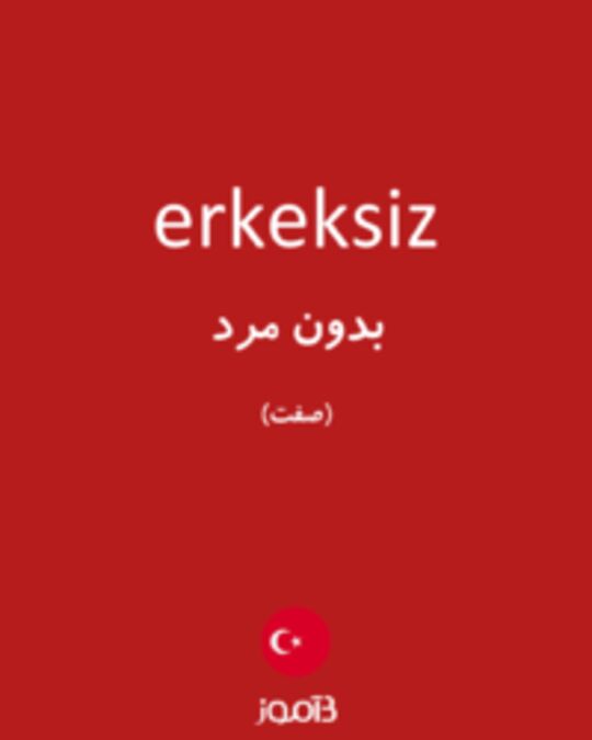  تصویر erkeksiz - دیکشنری انگلیسی بیاموز