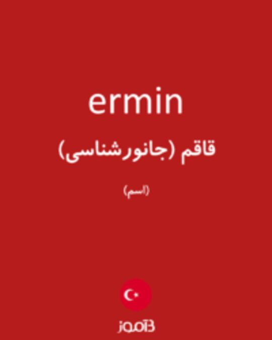  تصویر ermin - دیکشنری انگلیسی بیاموز