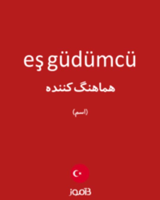  تصویر eş güdümcü - دیکشنری انگلیسی بیاموز