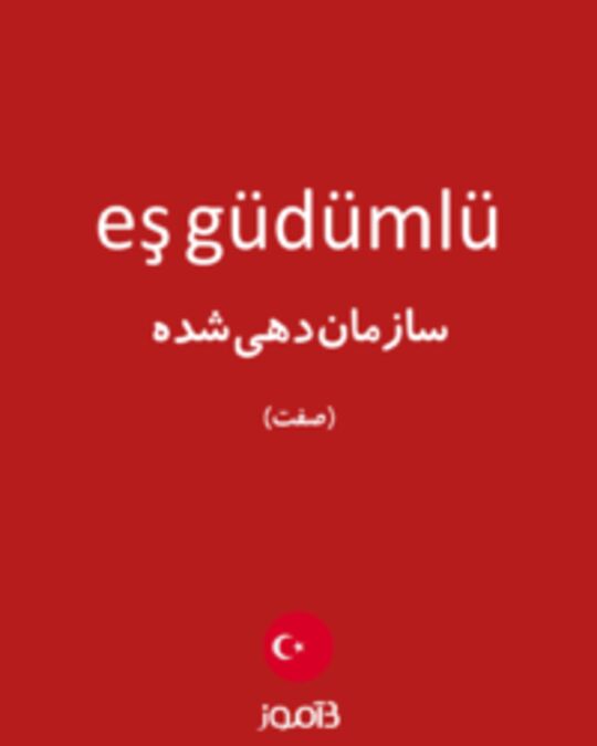  تصویر eş güdümlü - دیکشنری انگلیسی بیاموز