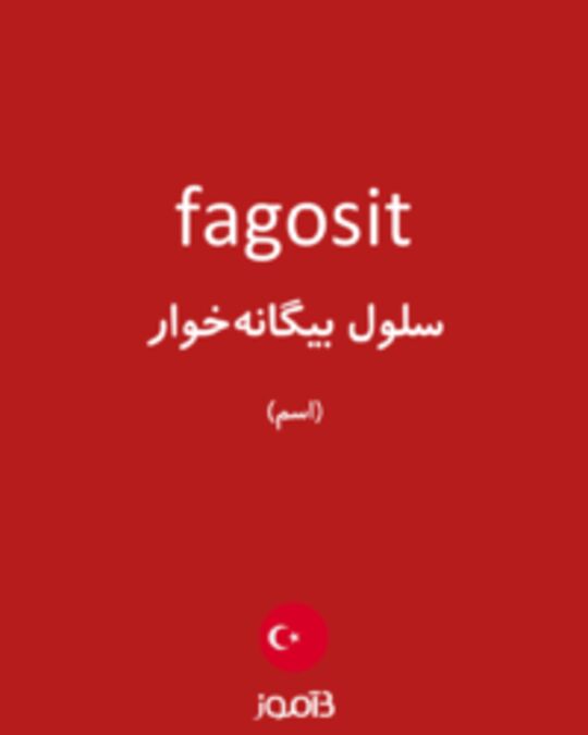  تصویر fagosit - دیکشنری انگلیسی بیاموز