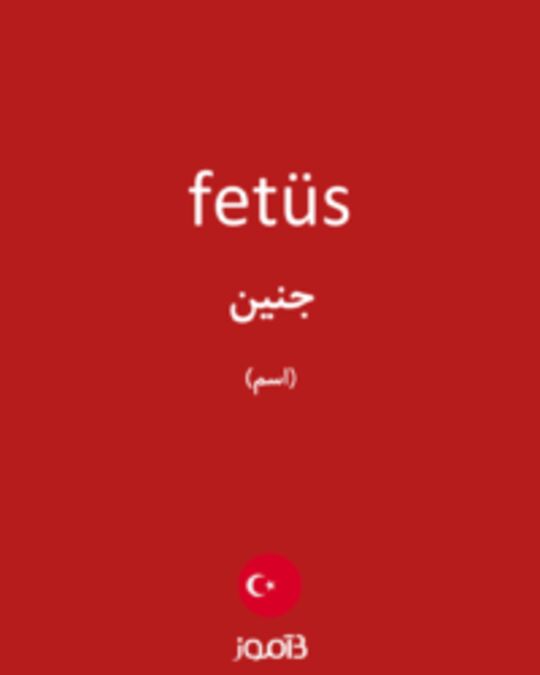  تصویر fetüs - دیکشنری انگلیسی بیاموز