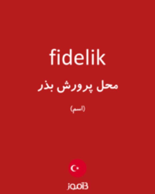  تصویر fidelik - دیکشنری انگلیسی بیاموز