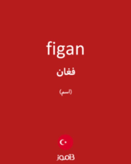  تصویر figan - دیکشنری انگلیسی بیاموز