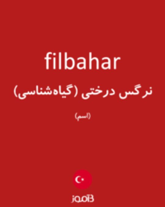  تصویر filbahar - دیکشنری انگلیسی بیاموز