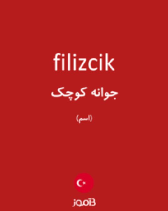  تصویر filizcik - دیکشنری انگلیسی بیاموز