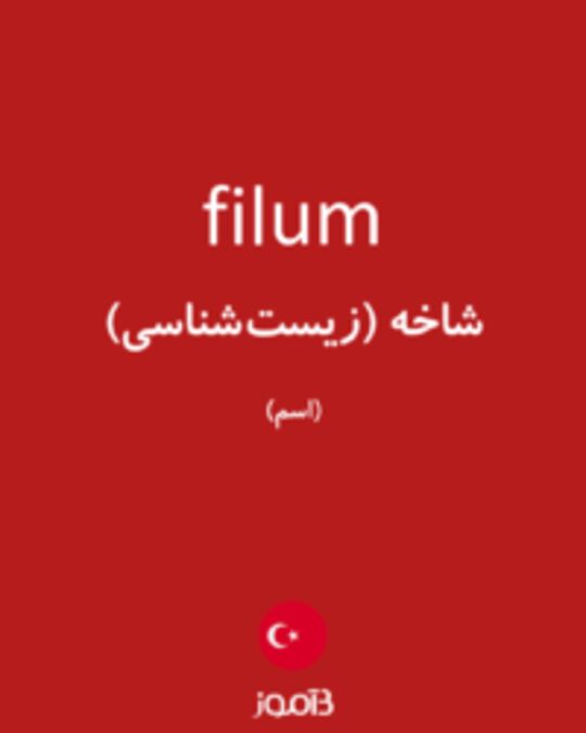  تصویر filum - دیکشنری انگلیسی بیاموز