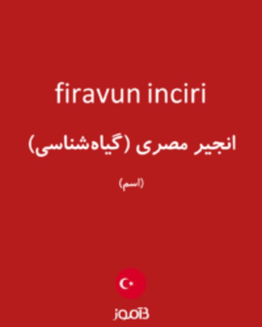  تصویر firavun inciri - دیکشنری انگلیسی بیاموز