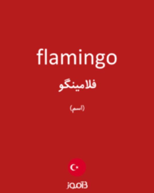  تصویر flamingo - دیکشنری انگلیسی بیاموز