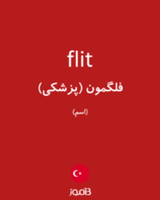  تصویر flit - دیکشنری انگلیسی بیاموز