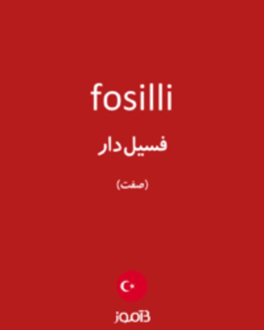  تصویر fosilli - دیکشنری انگلیسی بیاموز