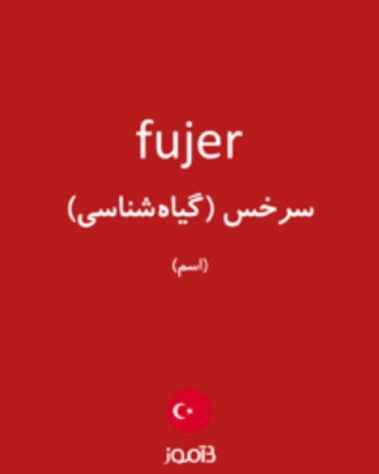  تصویر fujer - دیکشنری انگلیسی بیاموز