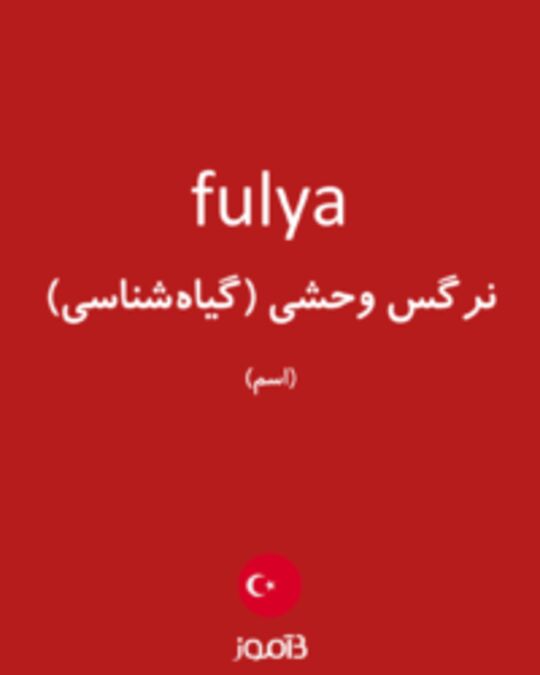  تصویر fulya - دیکشنری انگلیسی بیاموز