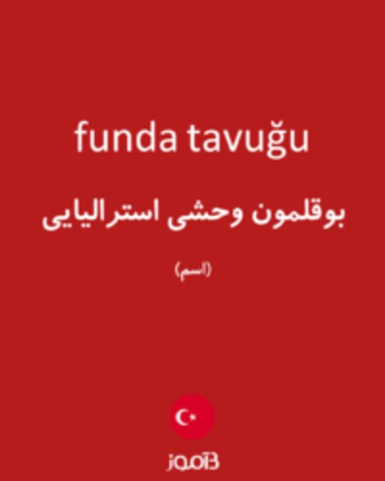  تصویر funda tavuğu - دیکشنری انگلیسی بیاموز