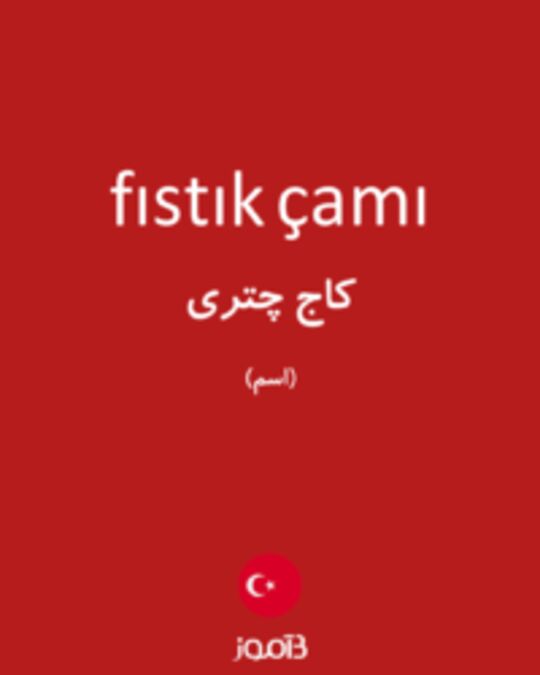  تصویر fıstık çamı - دیکشنری انگلیسی بیاموز