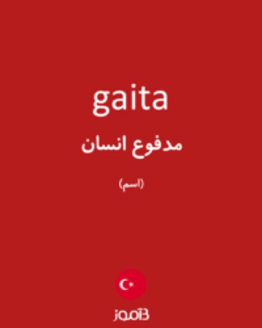  تصویر gaita - دیکشنری انگلیسی بیاموز