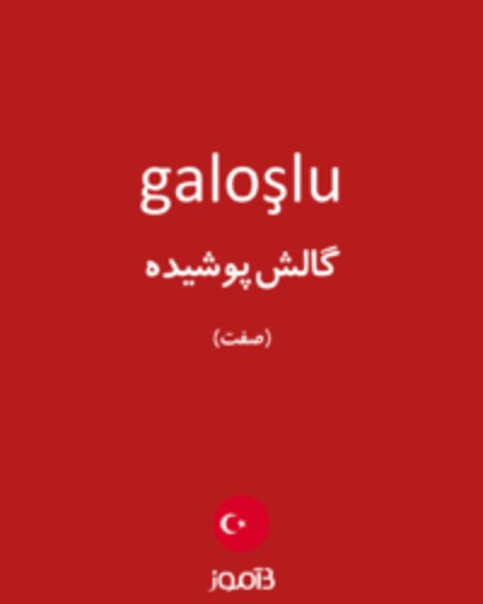  تصویر galoşlu - دیکشنری انگلیسی بیاموز