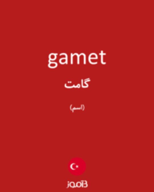  تصویر gamet - دیکشنری انگلیسی بیاموز