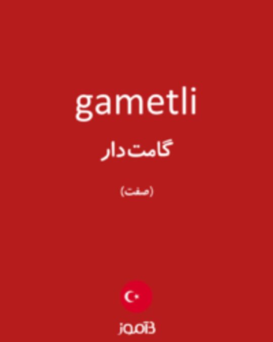  تصویر gametli - دیکشنری انگلیسی بیاموز