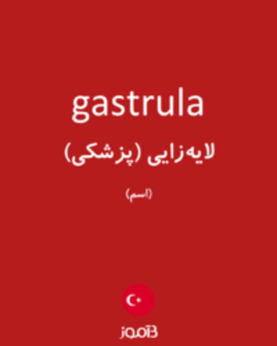  تصویر gastrula - دیکشنری انگلیسی بیاموز