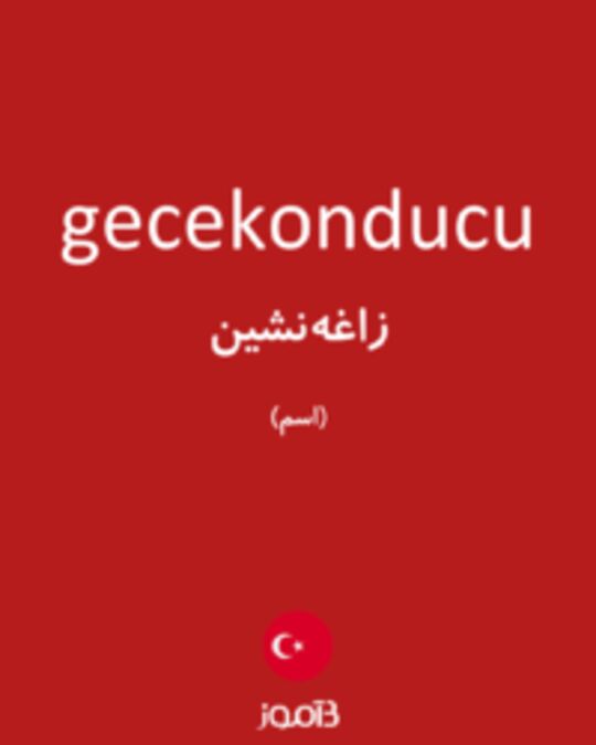  تصویر gecekonducu - دیکشنری انگلیسی بیاموز