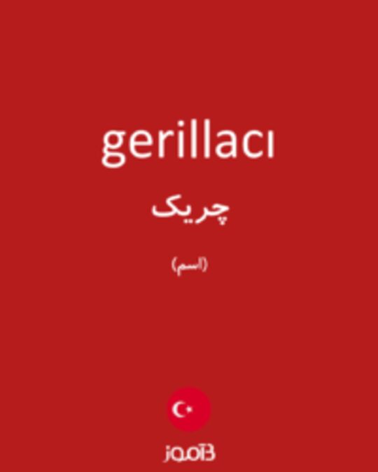  تصویر gerillacı - دیکشنری انگلیسی بیاموز