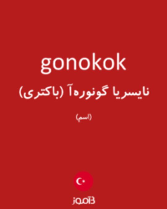  تصویر gonokok - دیکشنری انگلیسی بیاموز