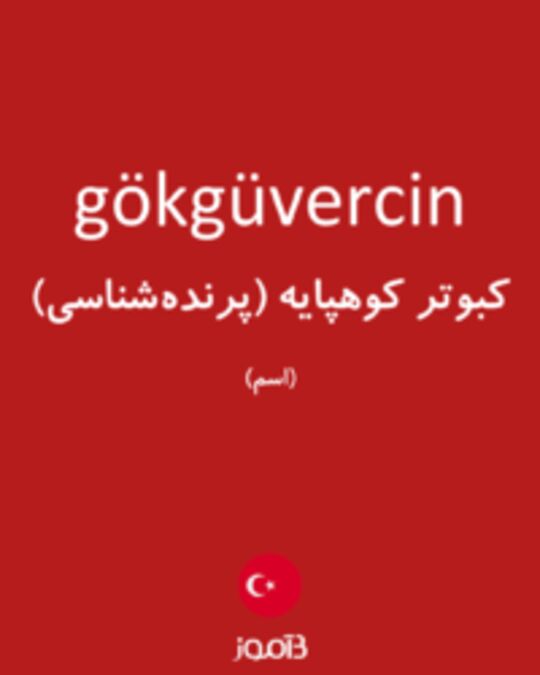  تصویر gökgüvercin - دیکشنری انگلیسی بیاموز