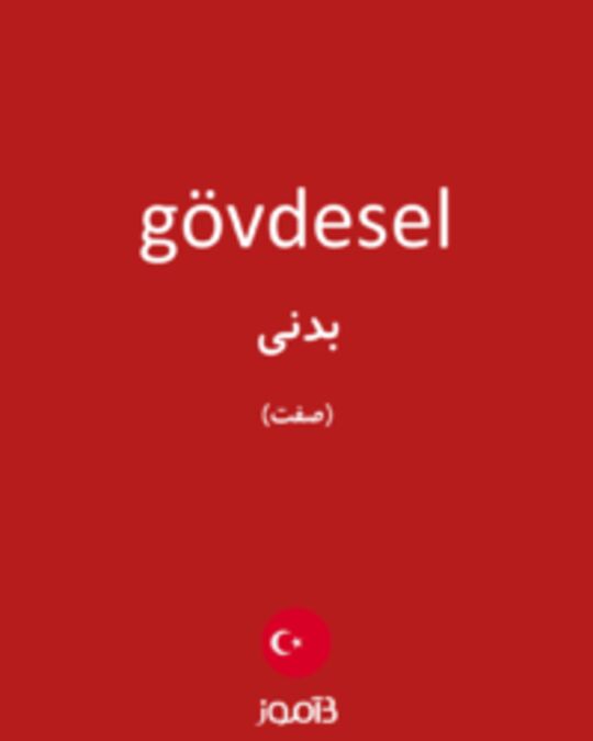  تصویر gövdesel - دیکشنری انگلیسی بیاموز